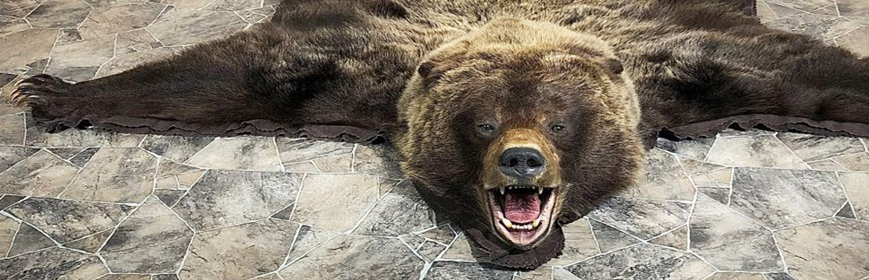 d skin rugs 1240x400