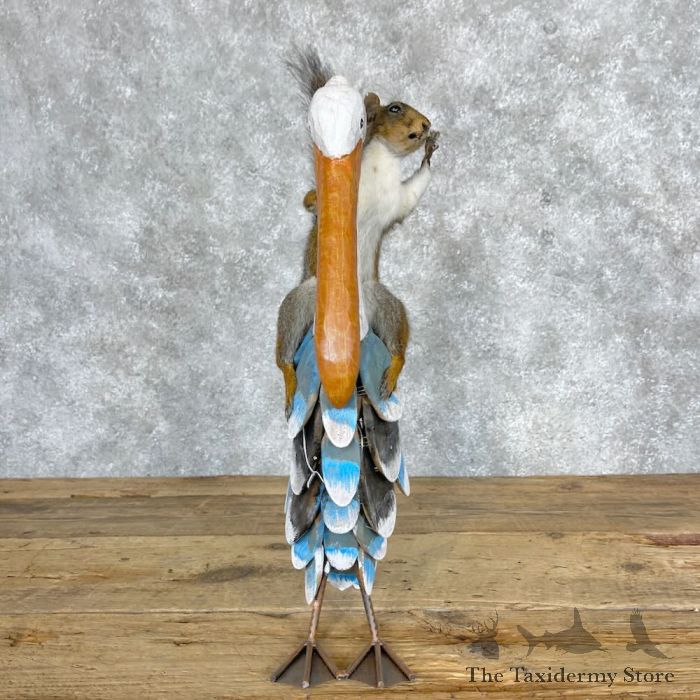 novelty grey squirrel taxidermy mount for sale novelty grey squirrel taxidermy mount for sale