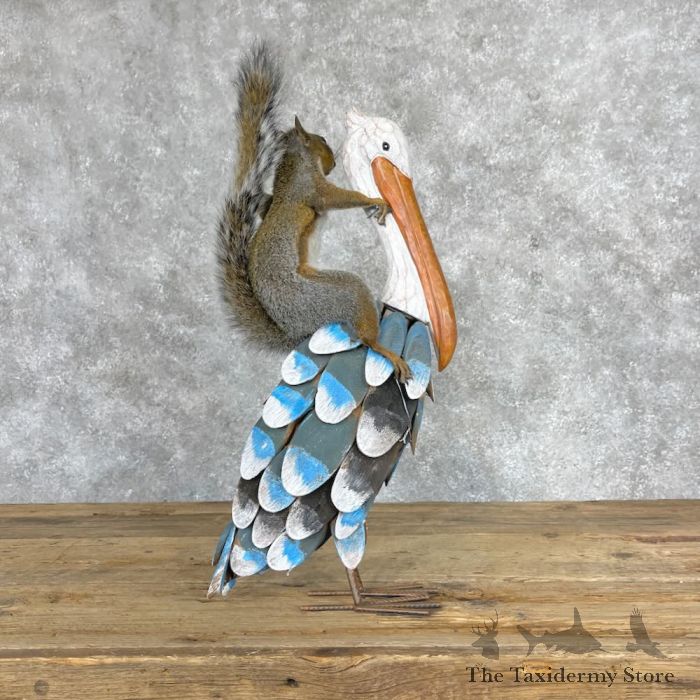 novelty grey squirrel taxidermy mount for sale novelty grey squirrel taxidermy mount for sale