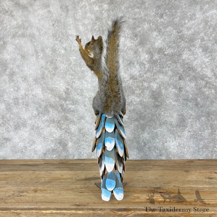 novelty grey squirrel taxidermy mount for sale novelty grey squirrel taxidermy mount for sale