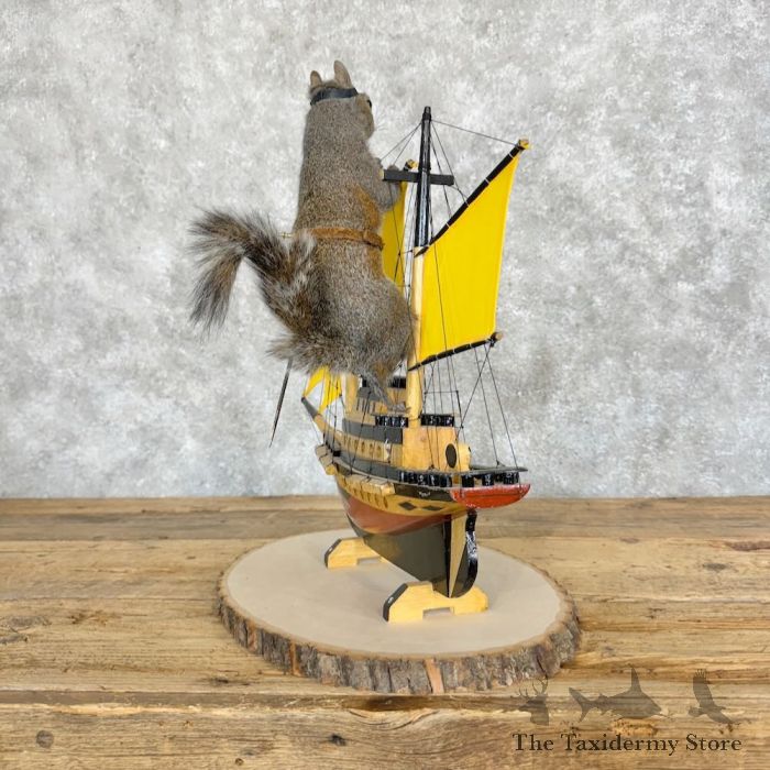 novelty grey squirrel taxidermy mount for sale novelty grey squirrel taxidermy mount for sale