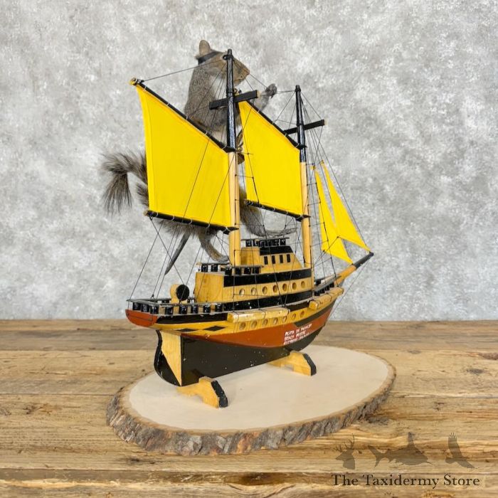 novelty grey squirrel taxidermy mount for sale novelty grey squirrel taxidermy mount for sale