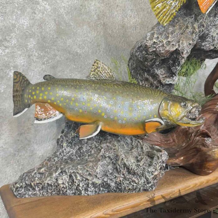 match the hatch custom trout fly tying table for sale match the hatch custom trout fly tying table for sale