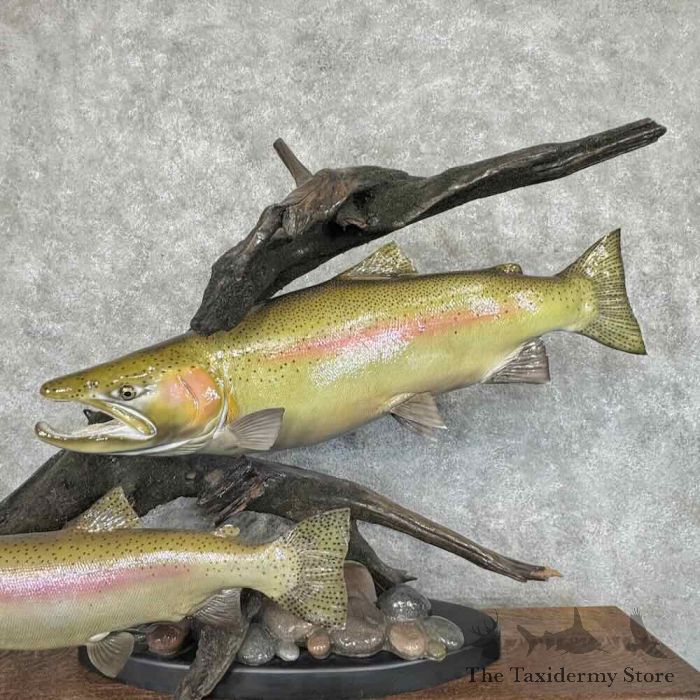 match the hatch custom steelhead fly tying table for sale match the hatch custom steelhead fly tying table for sale