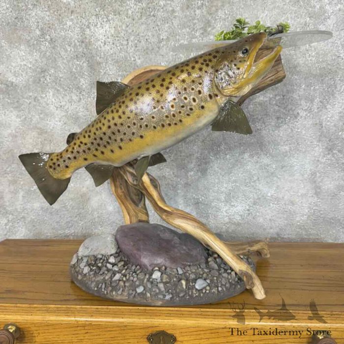 match the hatch custom trout fly tying desk for sale match the hatch custom trout fly tying desk for sale