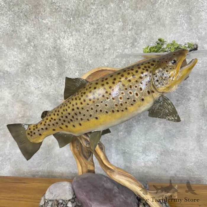 match the hatch custom trout fly tying desk for sale match the hatch custom trout fly tying desk for sale