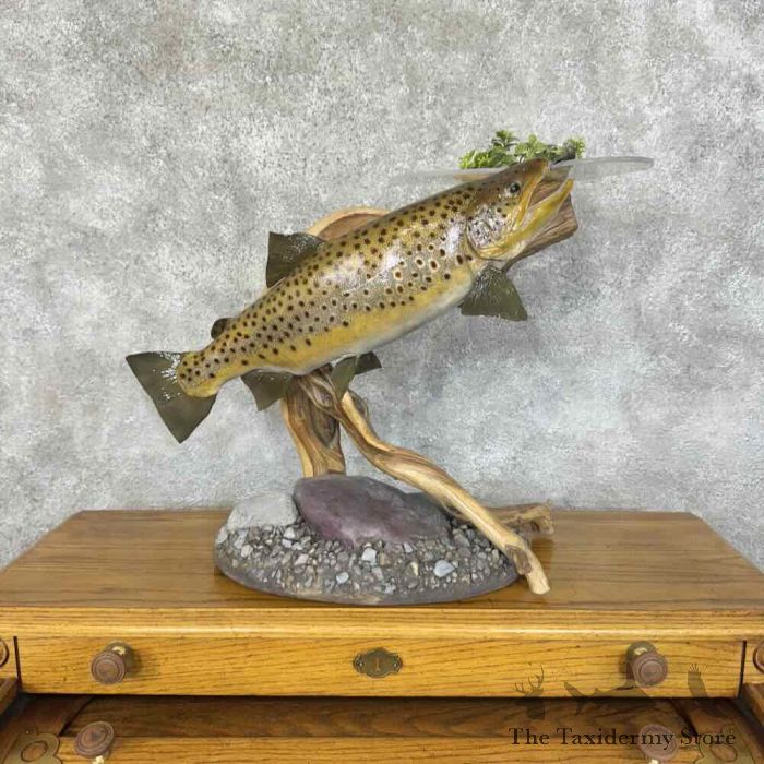 match the hatch custom trout fly tying desk for sale match the hatch custom trout fly tying desk for sale