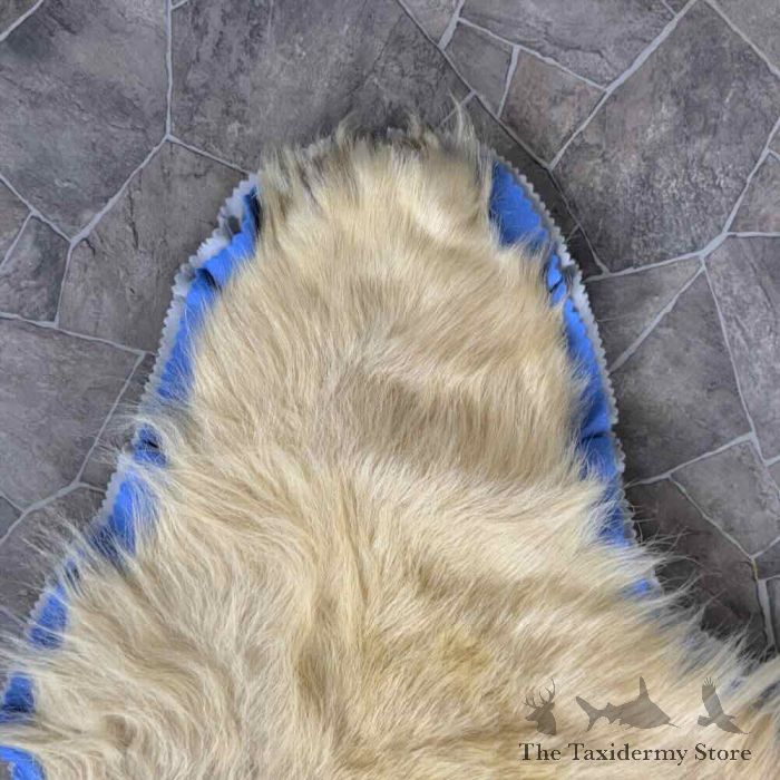 polar bear full size taxidermy rug mount for sale polar bear full size taxidermy rug mount for sale