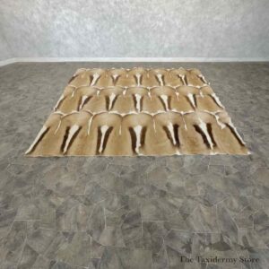 african springbok hide throw for sale 31041 the taxidermy store.jpeg