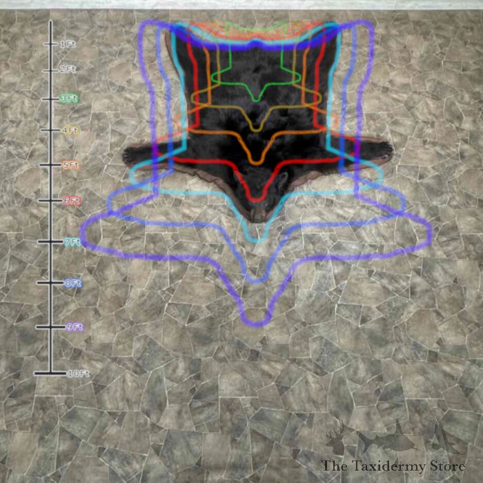 black bear full size taxidermy rug for sale