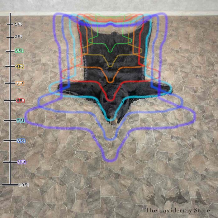 black bear full size taxidermy rug for sale