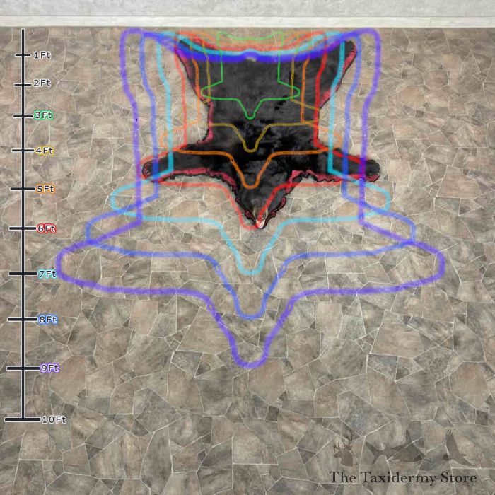 black bear full size taxidermy rug for sale