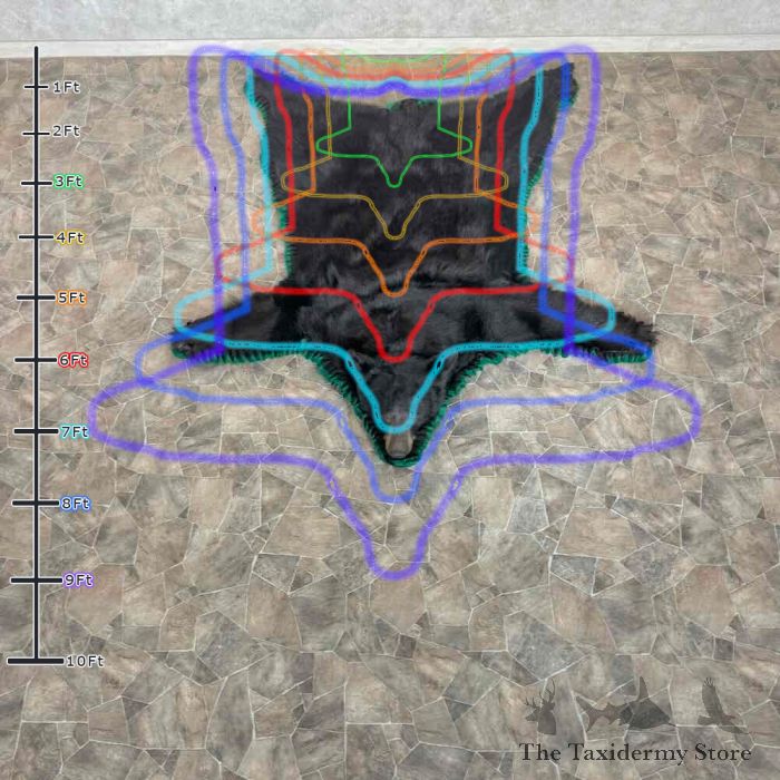 black bear full size taxidermy rug for sale