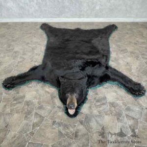 black bear full size rug for sale 31040 the taxidermy store.jpeg