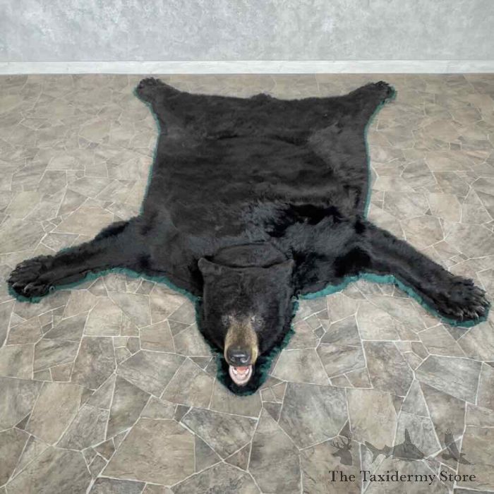 black bear full size rug for sale 31040 the taxidermy store.jpeg