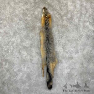 grey fox tanned hide for sale 30957 the taxidermy store.jpeg