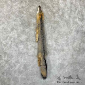 grey fox tanned hide for sale 30958 the taxidermy store.jpeg