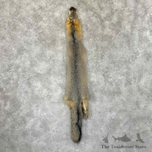 grey fox tanned hide for sale 30964 the taxidermy store.jpeg