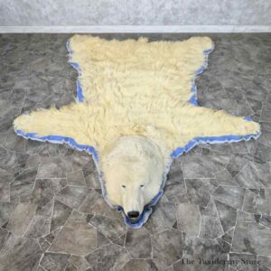 polar bear full size rug mount for sale 31498 the taxidermy store.jpeg