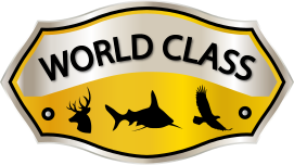 world class